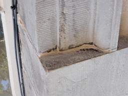 christchurch - 4400.jpg